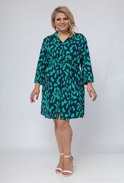 Picture of CURVY GIRL SHIRT DRESS